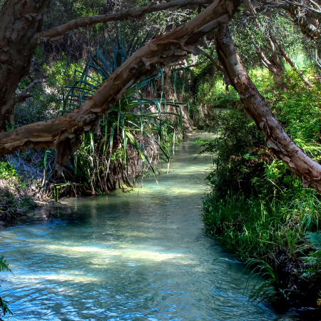 Fraser Island K'Gari, K'gari 3