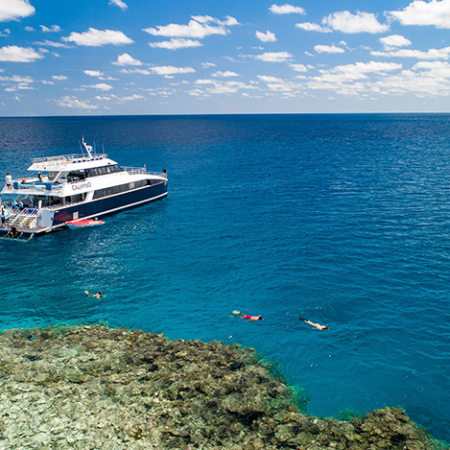 Port Douglas, An Unforgettable Day at the Great Barrier Reef 3