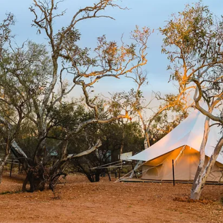 Bullara Station, Exmouth Gulf 4