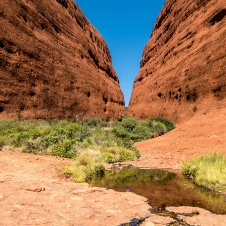 Kings Canyon, Kings Canyon - Uluru (Ayers Rock) 4
