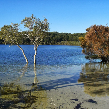 Hervey Bay, K'gari (Fraser Island): Two-Day Island Adventure 3