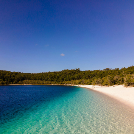 Hervey Bay, K'gari (Fraser Island): Two-Day Island Adventure 4