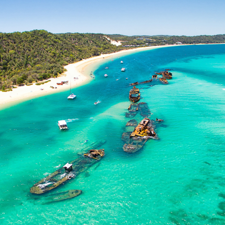 Brisbane, Moreton Island Island Paradise. Snorkeling, Beach and Marine Life