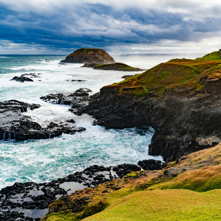 Melbourne, Phillip Island, Penguin Parade 5
