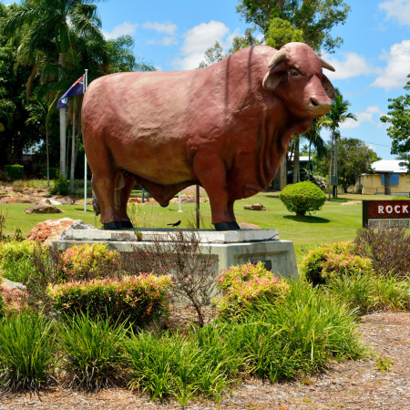 Airlie Beach, From Airlie Beach to Rockhampton