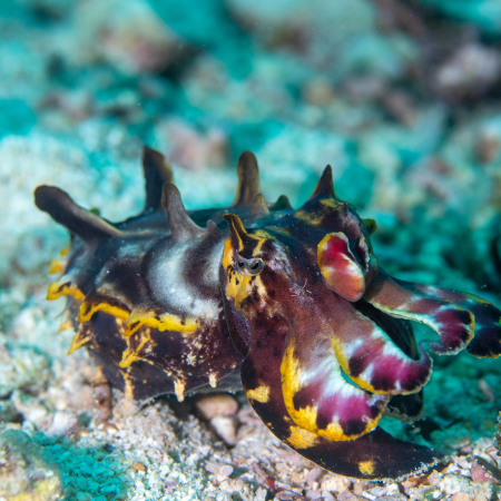Nanga, Shark Bay 3