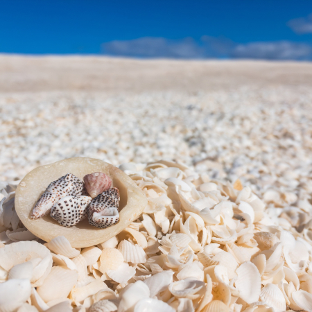 Nanga, Shark Bay 2