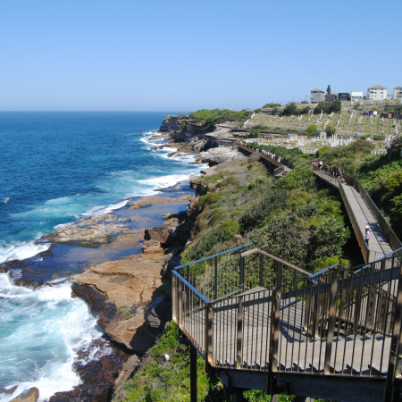Sydney, Leisure in Sydney: Discovering Bondi Beach and Surroundings 5