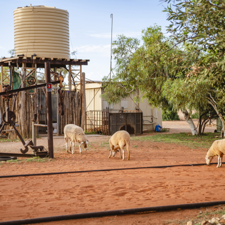 Nanga, Nanga - Bullara Station