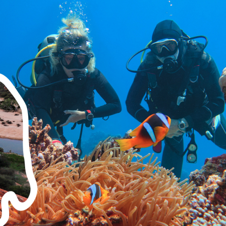 Exmouth, Plongée Exploration sur le Récif du Ningaloo 3