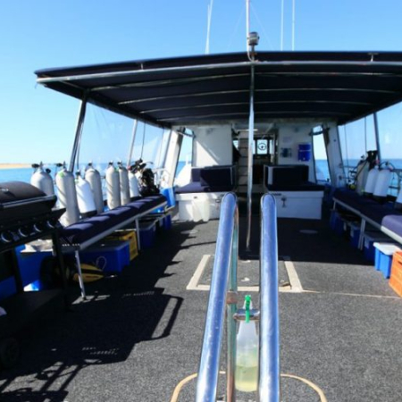 Exmouth, Plongée Exploration sur le Récif du Ningaloo 2