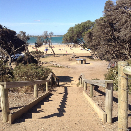 Melbourne, From Melbourne to Apollo Bay: Coastal Beauty and Surfer's Paradise
