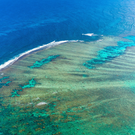 Exmouth, Plongée Exploration sur le Récif Extérieur du Ningaloo