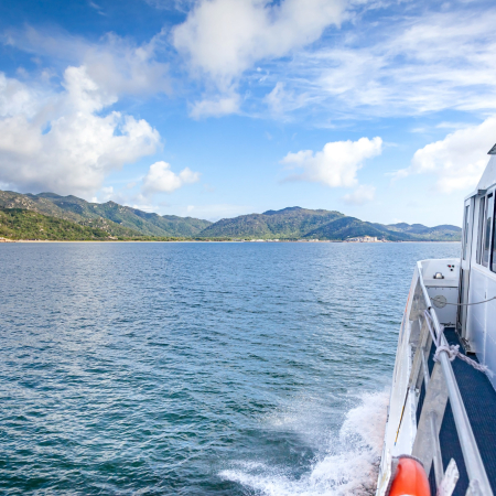 Atherton, From the Highlands to the Sea. Magnetic Island Awaits You 4