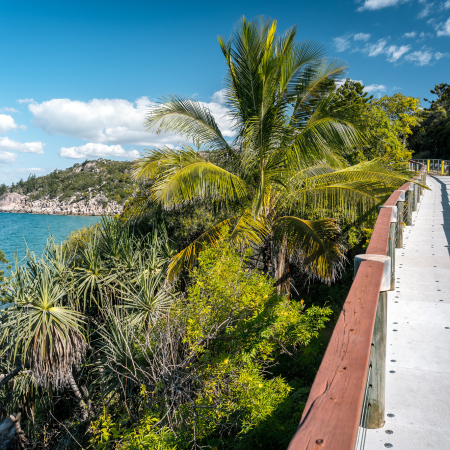 Magnetic Island, Free Island Day with Animal Encounters 5