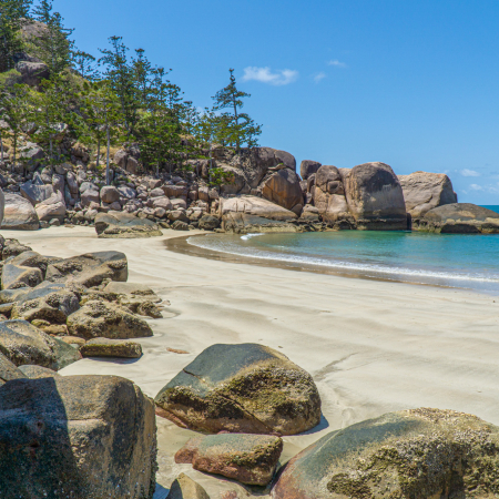 Magnetic Island, Free Island Day with Animal Encounters 4