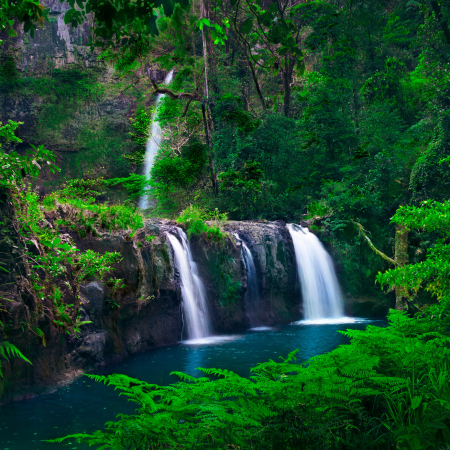 Port Douglas, On a Discovery Tour into the Green Highlands 3