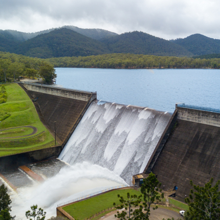 Port Douglas, On a Discovery Tour into the Green Highlands 5