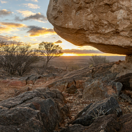 Adelaide Parklands Terminal, Adelaide - Broken Hill 2